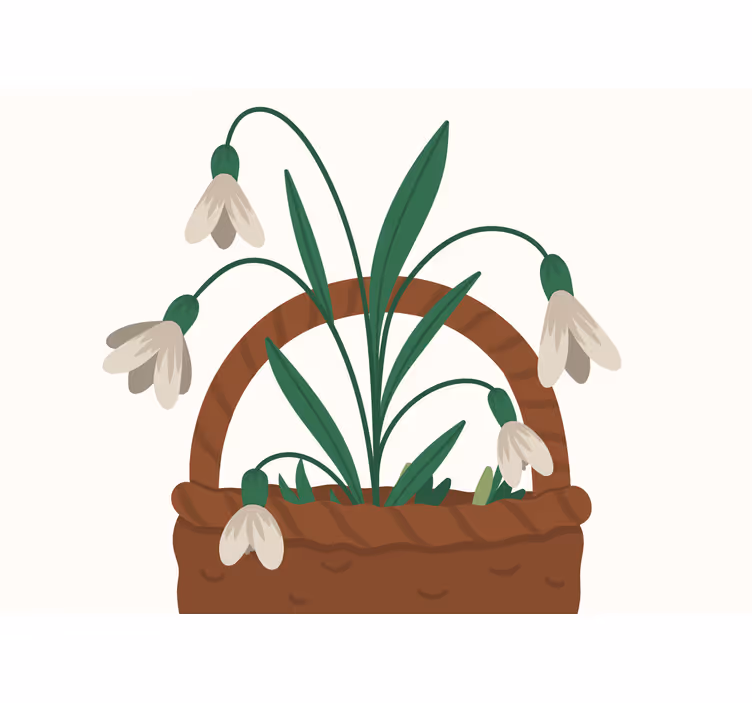 Fotomurale fiori fiori di bucaneve delicati - TenStickers