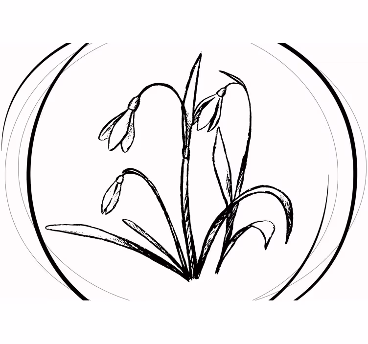 Fotomurale fiori contorno fiore di bucaneve - TenStickers