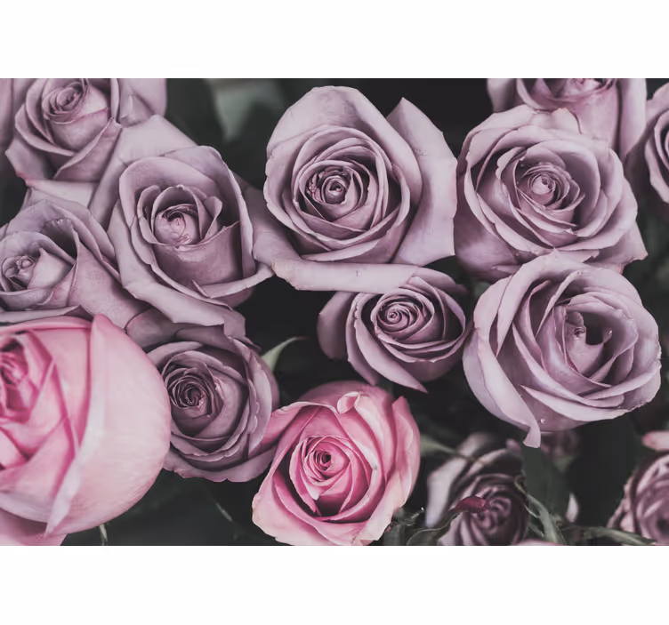Fotomurale fiori bouquet di rose lavanda - TenStickers