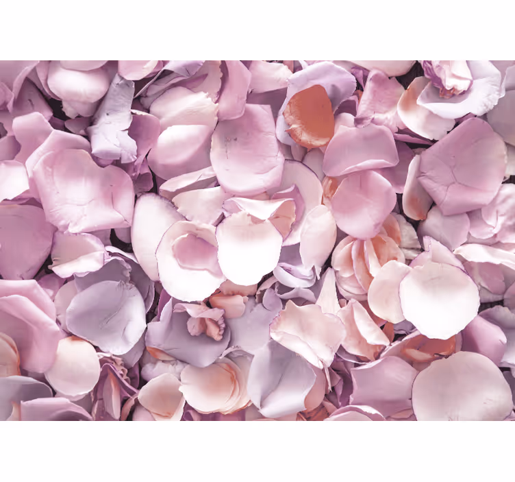 Fotomurale fiori primo piano di petali di rosa - TenStickers