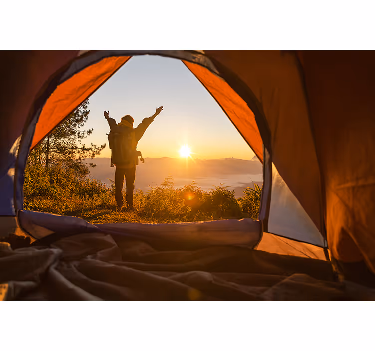 Fotomurali natura avventura all'alba gioia - TenStickers