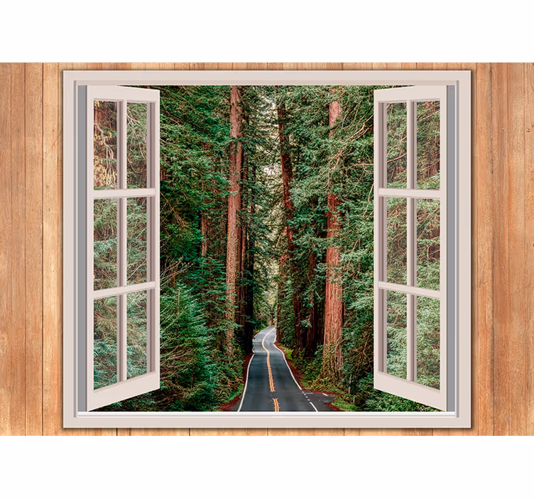 Fotomurali natura vista del sentiero nel bosco - TenStickers