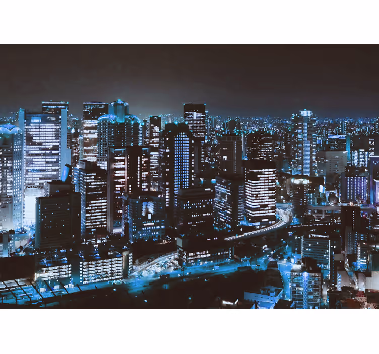 Fotomurale città skyline notturno - TenStickers