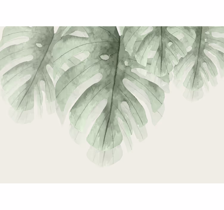 Fotomurali natura grande foglia tropicale - TenStickers