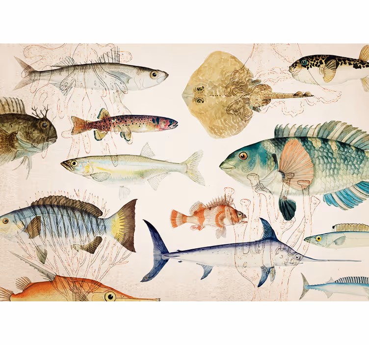 Fotomurale animali collezione vita marina - TenStickers