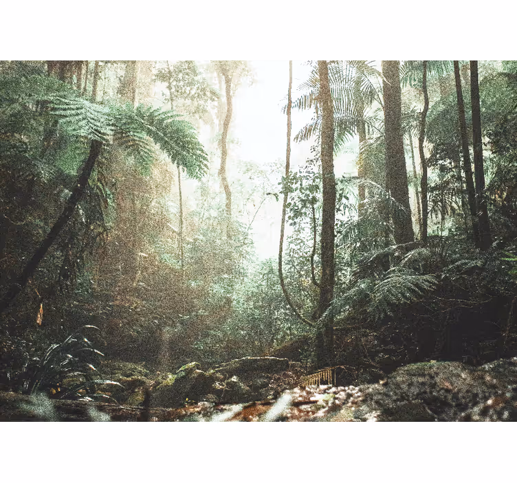 Fotomurale foresta serenità nella giungla lussureggiante - TenStickers