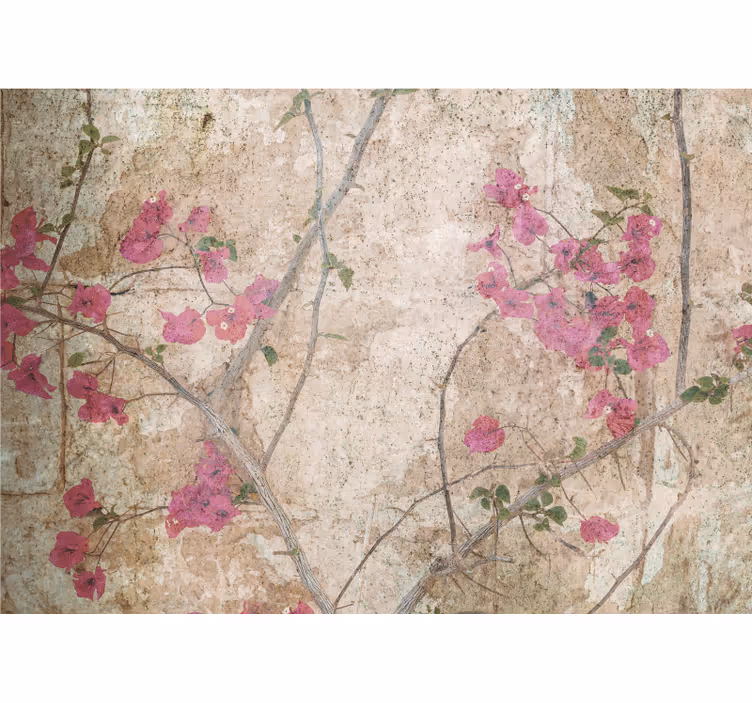 Fotomurale fiori fiori di bougainvillea rosa - TenStickers