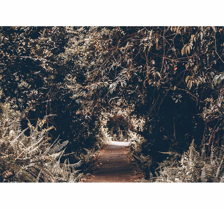 Fotomurali natura sentiero nella foresta - TenStickers