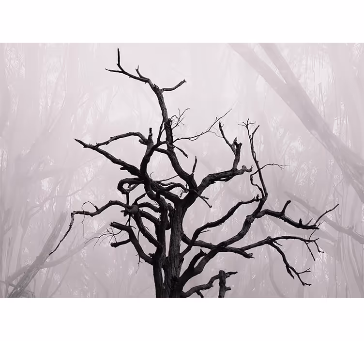 Fotomurale alberi silhouette rami intricati - TenStickers