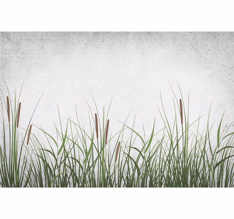 Fotomurale fiori tulipani e erba - TenStickers