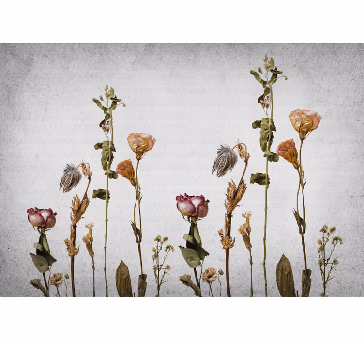 Fotomurale fiori composizione floreale secca - TenStickers