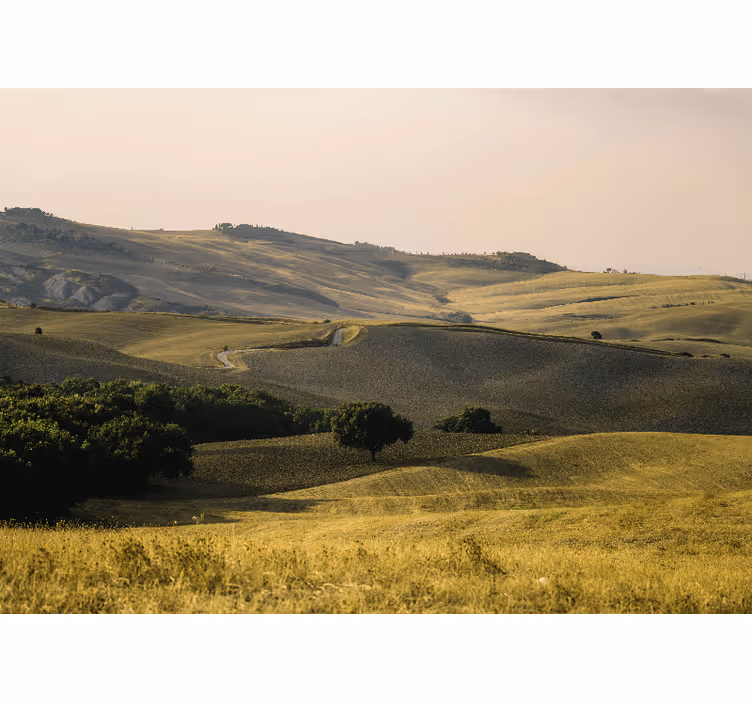 Fotomurale paesaggi colline morbide - TenStickers