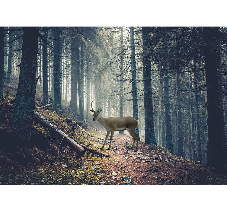 Carta da parati foresta cervi nel bosco - TenStickers