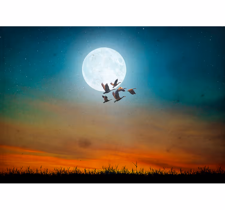 Fotomurali natura cielo notturno di luna - TenStickers