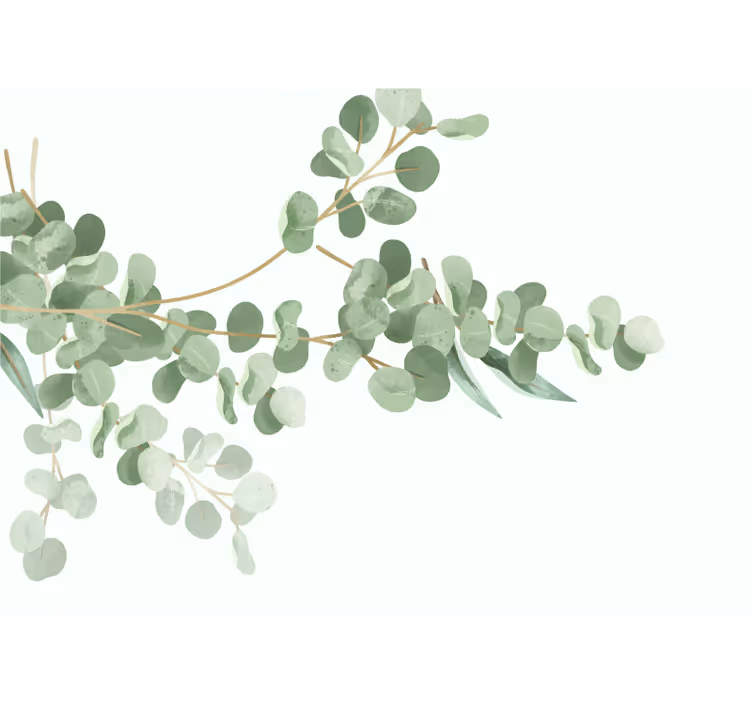 Fotomurali fiori diversi composizione di foglie di eucalipto - TenStickers