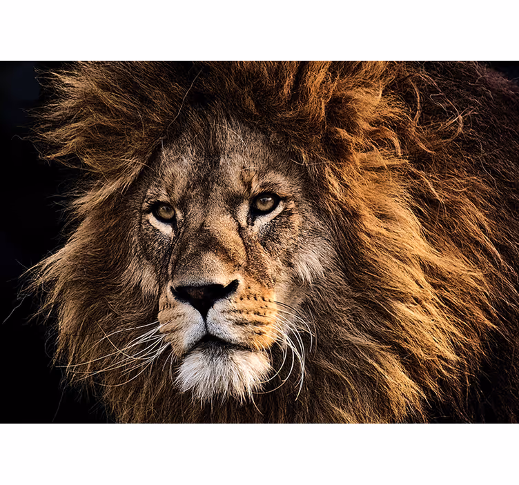 Fotomurali leone arte del leone maestoso - TenStickers