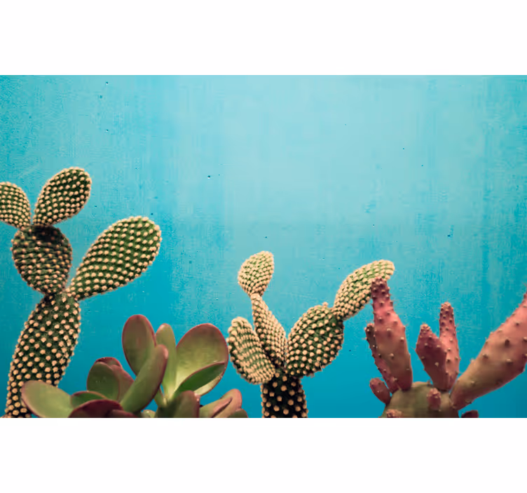 Fotomurale con i cactus e le piante - TenStickers