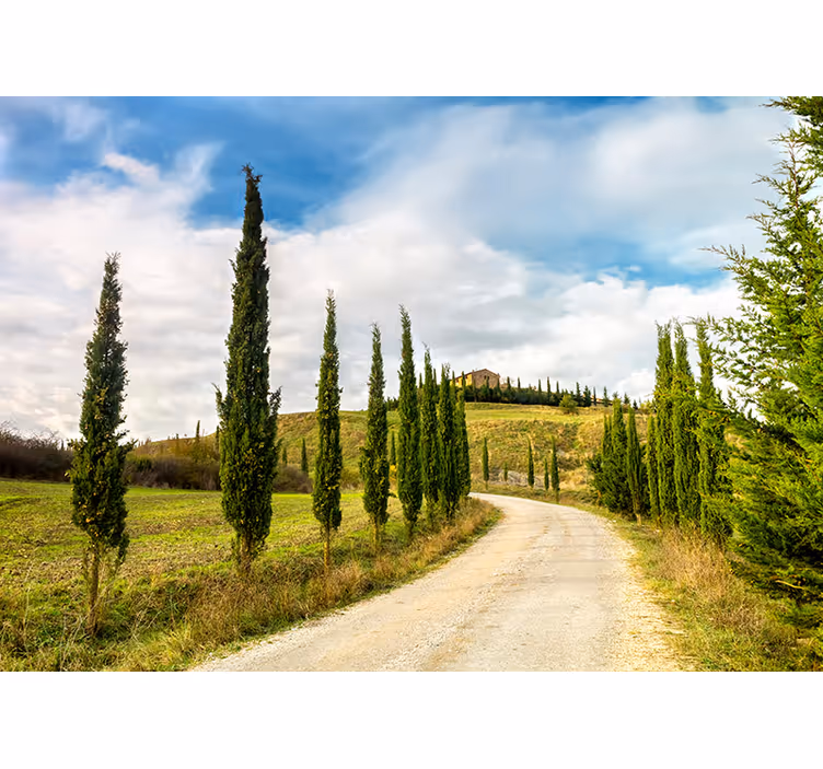 Fotomurali natura vista sulla campagna toscana - TenStickers