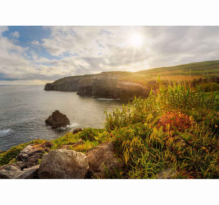 Fotomurale paesaggi vista sulle scogliere costiere - TenStickers