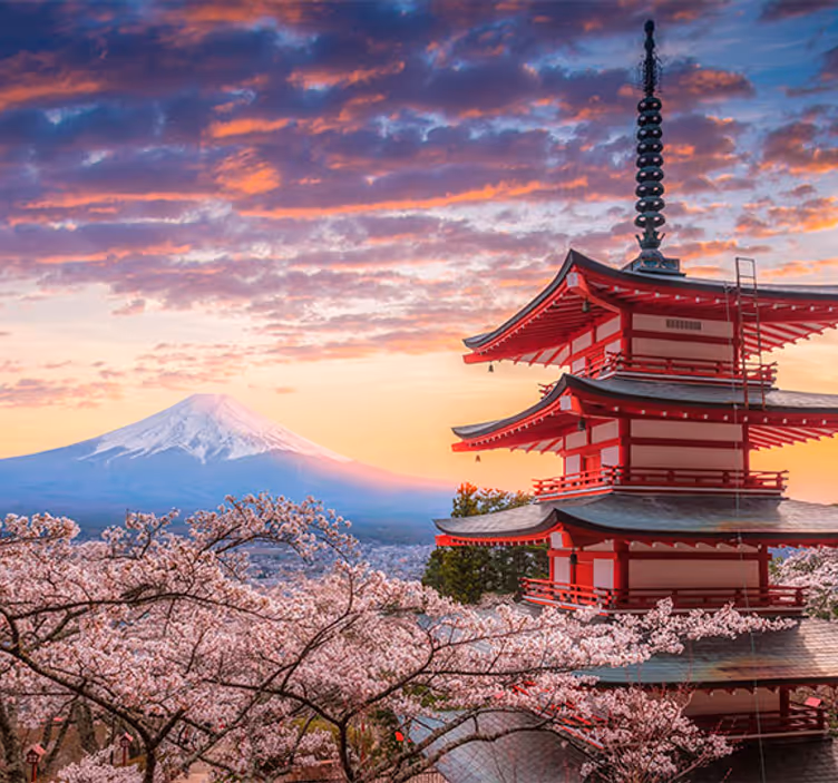 Fotomurale montagna Montagna fuji e edifici giapponesi - TenStickers