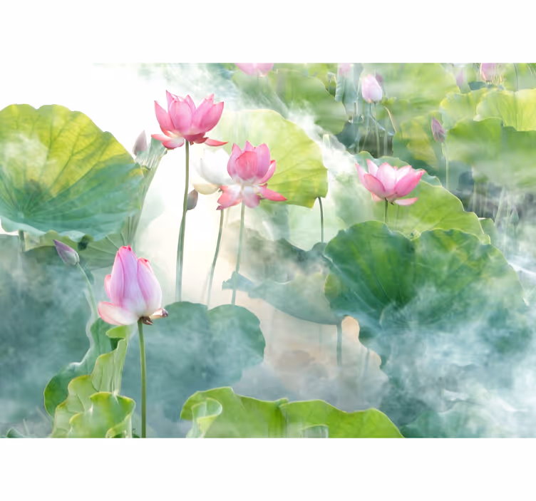 Fotomurale con i fiori di loto - TenStickers