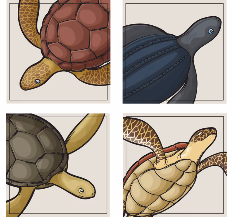 Sottobicchieri frikis illustrazioni di tartarughe colorate - TenStickers