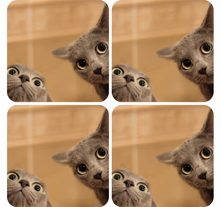 Sottobicchieri frikis facce di gatti curiosi - TenStickers