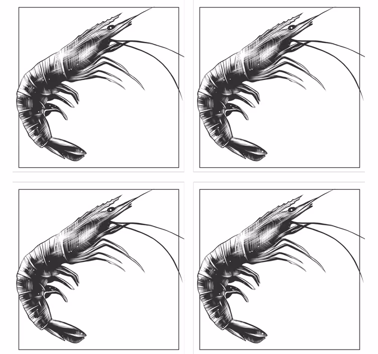 Sottobicchieri moderno illustrazione gambero stilizzata - TenStickers