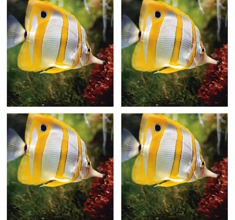 Sottobicchieri moderno immagine pesce brillante - TenStickers