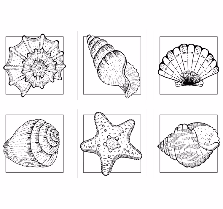 Sottobicchieri con motivi di conchiglie intricati - TenStickers