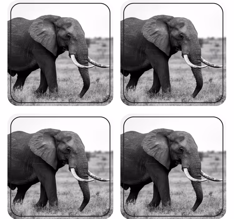 Sottobicchieri frikis motivo silhouette elefante - TenStickers