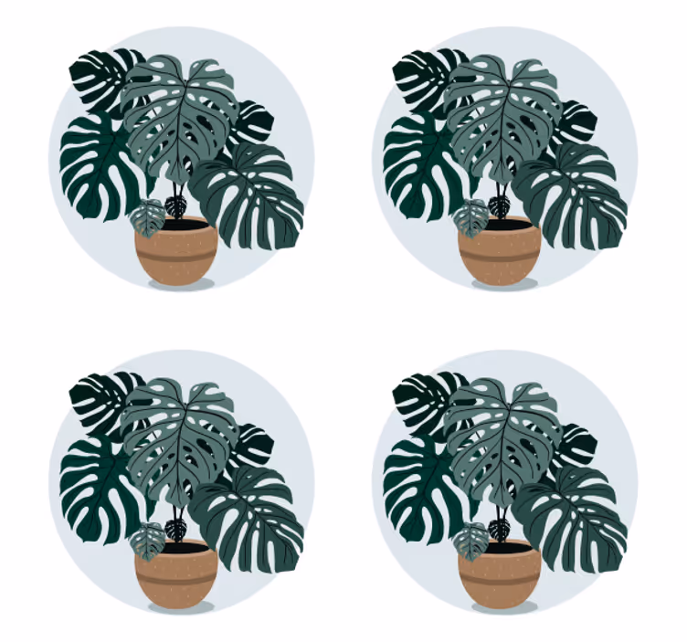 Sottobicchieri moderno illustrazione pianta monstera - TenStickers