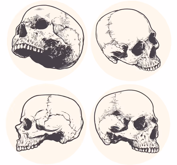 Sottobicchieri frikis set di illustrazioni teschi - TenStickers