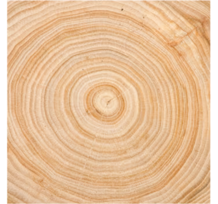 Sottobicchieri cerchio in legno - TenStickers