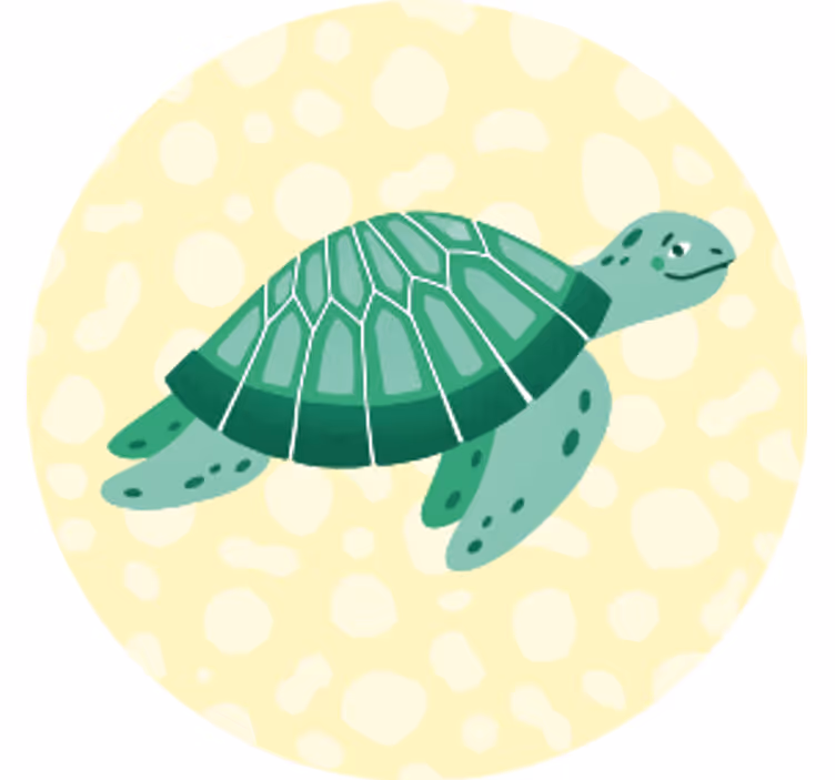 Sottobicchieri moderno illustrazione tartaruga verde giocosa - TenStickers