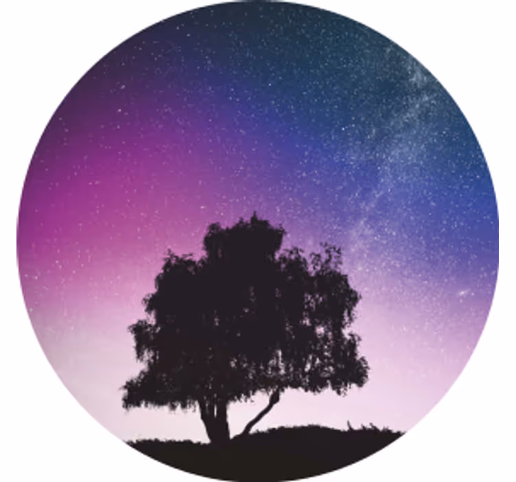 Sottobicchieri moderno albero notturno stellato - TenStickers