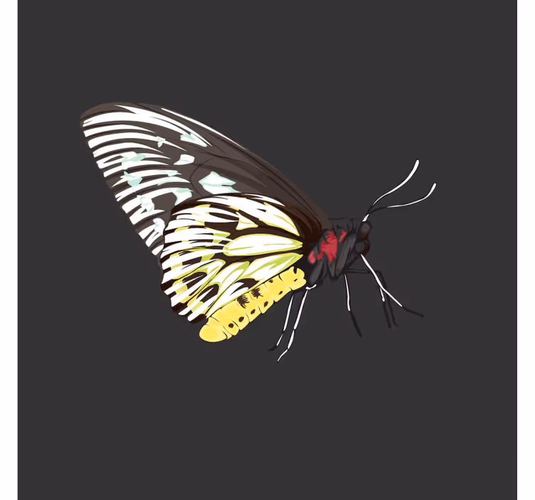 Sottobicchieri frikis arte di farfalle colorate - TenStickers