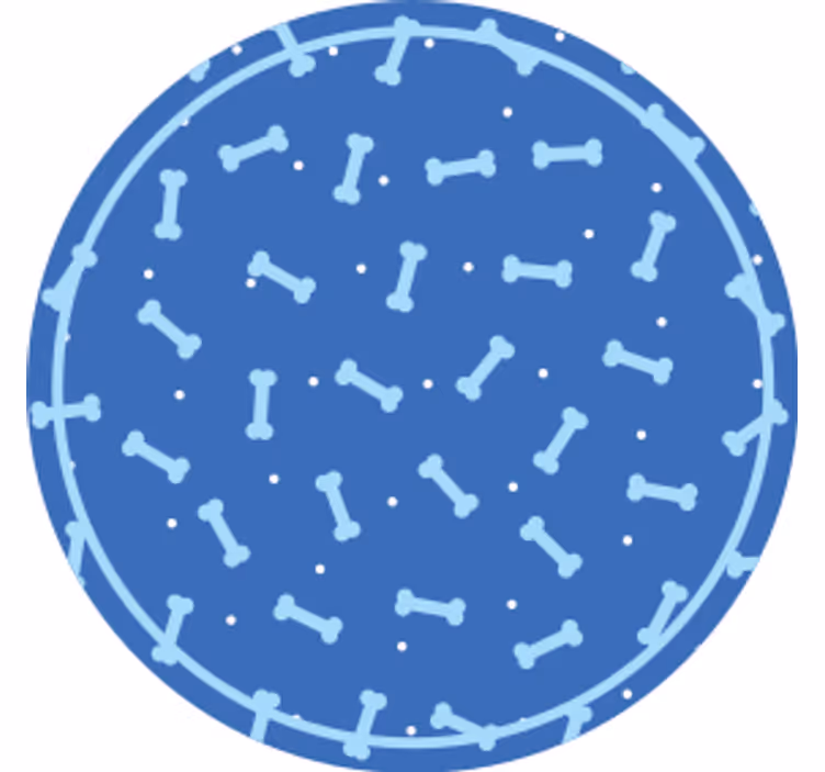 Sottobicchieri cerchio con motivo osso - TenStickers