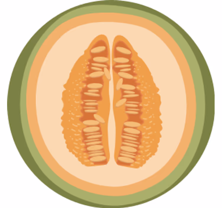 Sottobicchieri frikis a motivi di fette di frutta - TenStickers