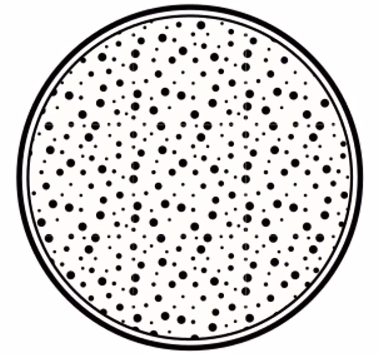 Sottobicchieri a motivo punti neri - TenStickers