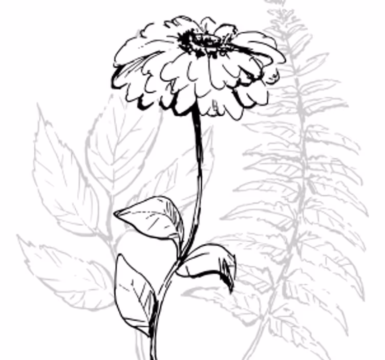 Sottobicchieri arte lineare botanica - TenStickers