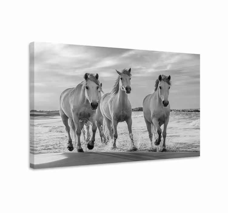 Quadro con cavallo che corre - TenStickers