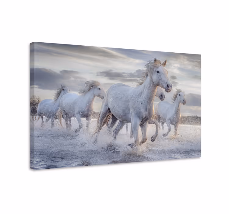 Quadro con cavallo murale di cavalli che bevono - TenStickers