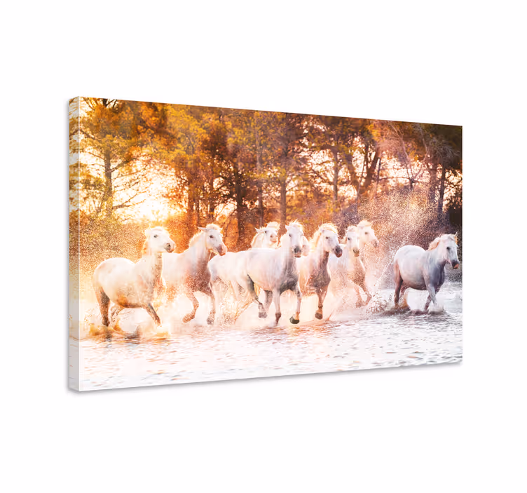Quadro con cavallo vista al tramonto caldo - TenStickers