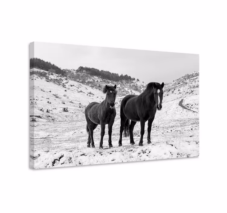 Quadro con cavallo cavalli nella neve - TenStickers