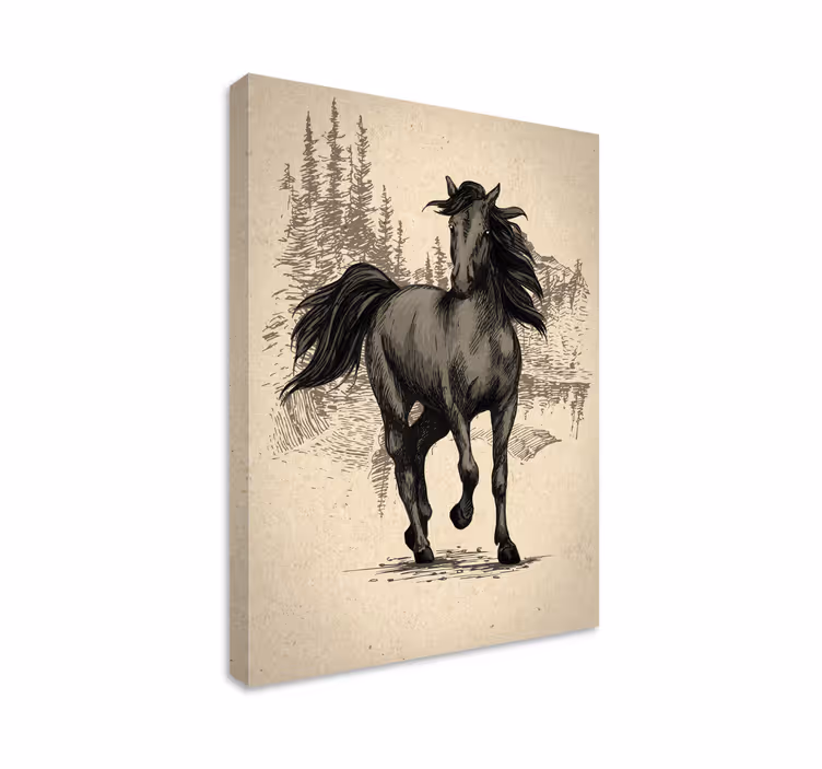 Quadro con cavallo da disegnare - TenStickers