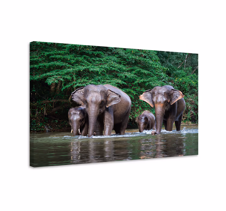 Quadro con elefanti giungla con animali - TenStickers
