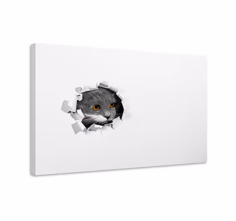 Quadro gatto gattino carino - TenStickers