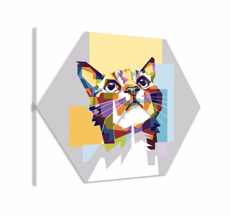 Quadro gatto speranza colorata - TenStickers