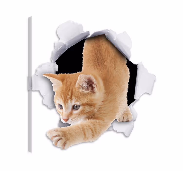 Quadro gatto adesivo decorativo illusionistico - TenStickers
